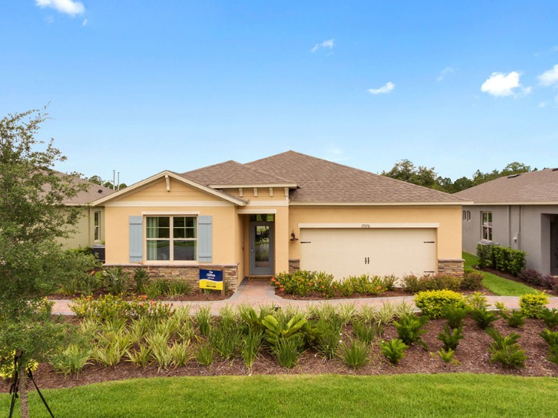 17270 Blazing Star Circle - Florida - Clermont - 34714